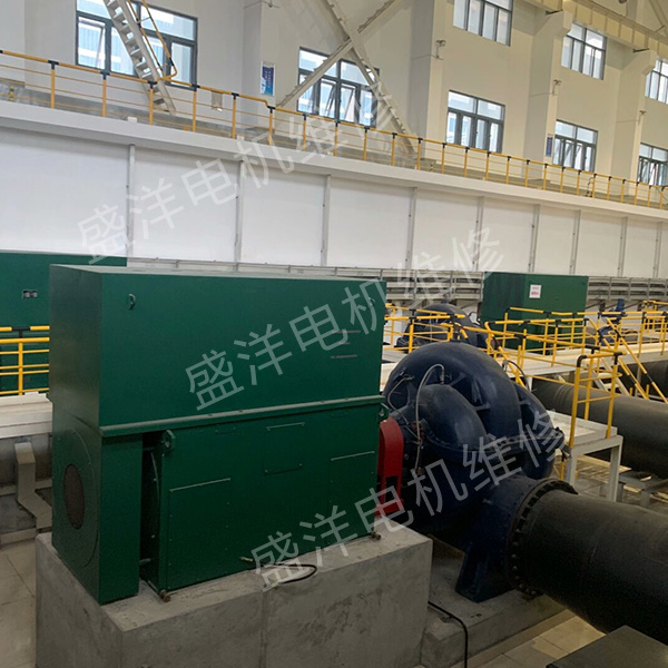 常州大型电机修理公司